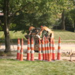 Residential Driveway/Sidewalk