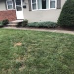 Residential Driveway/Patio